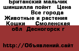 Британский мальчик шиншилла-пойнт › Цена ­ 5 000 - Все города Животные и растения » Кошки   . Смоленская обл.,Десногорск г.